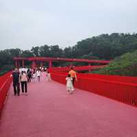 天空中一條「虹」橋