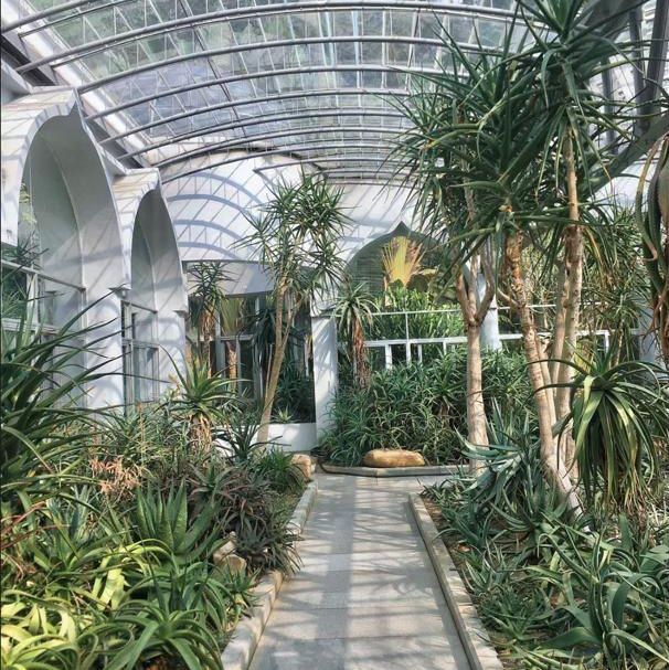 🏞️植物奧秘 - 仙湖植物園🌱
