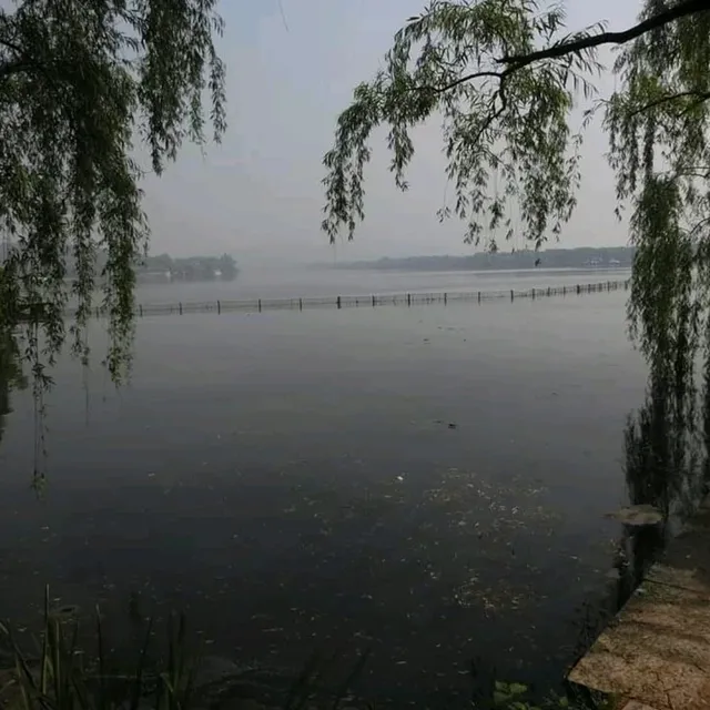 上有天堂，下有蘇杭🏞無庸置疑的人間美景🥹