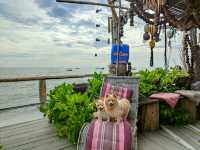 คาเฟ่บางแสน สไตล์ชาวเกาะ พาน้องหมาไปได้