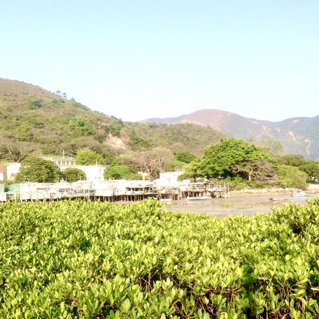 Venice of Hong Kong