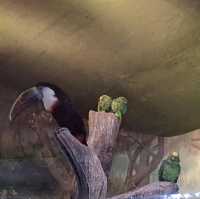 韓國😍愛寶樂園🐒介紹有咩動物睇🐯
