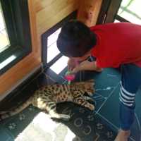 Razia Rimba Zoo Have Fun