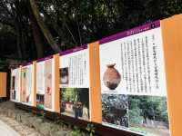 ศาลเจ้าอัตสึตะ 熱田神宮⛩️🌲🍀