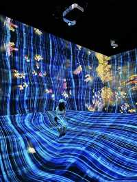 香港teamLab｜在沈浸式共創中做光影藝術家
