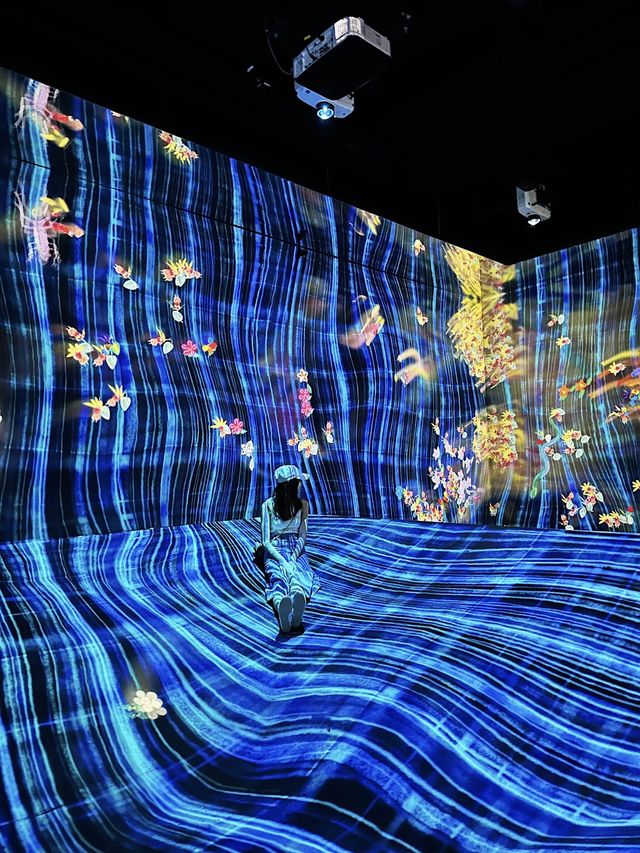 香港teamLab｜在沈浸式共創中做光影藝術家