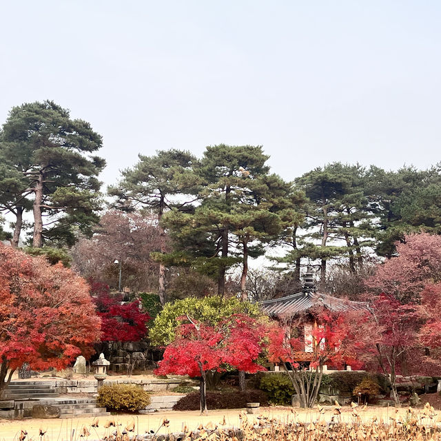 곧 ! 가을인데 “호암미술관” 어떠세요 ?