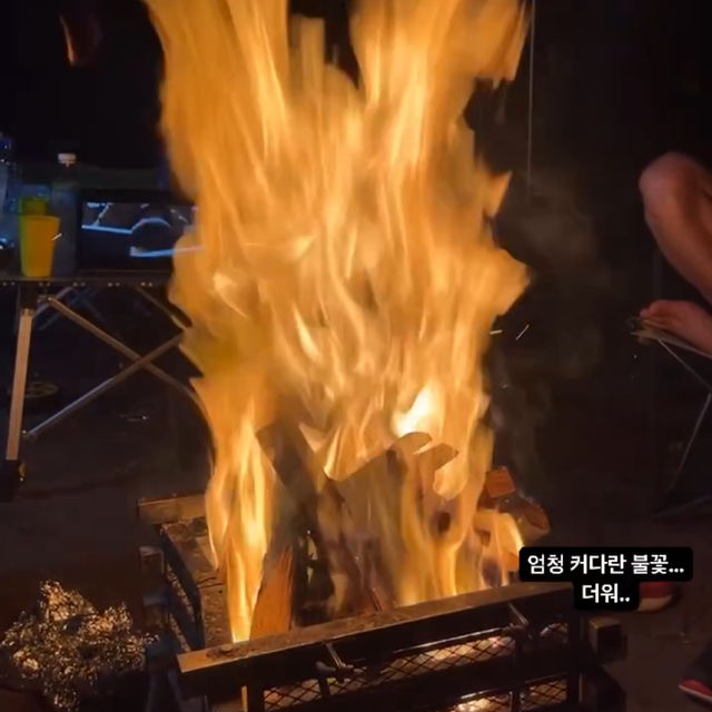 여름하면 캠핑!🏕️ 반려견과 함께하는 ‘몽산포청솔오토캠핑장’