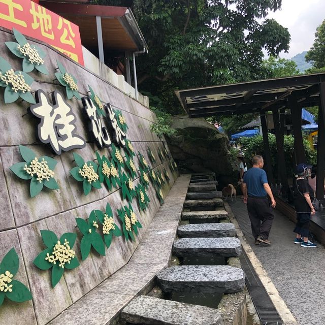 桂花巷