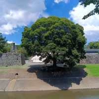 Kumamoto castle