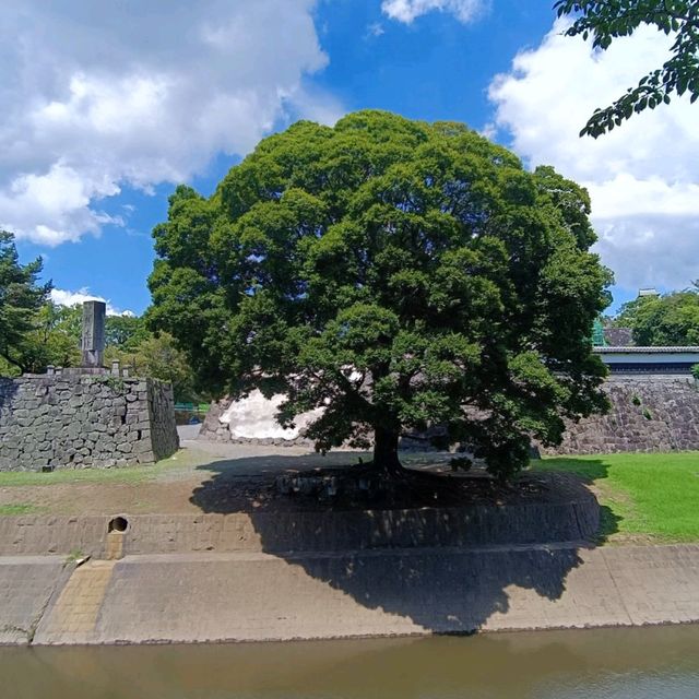 Kumamoto castle