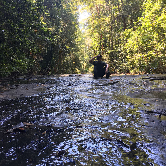 Place where jungle and beach meet