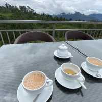 ヌワラエリア、DAMRO tea centre