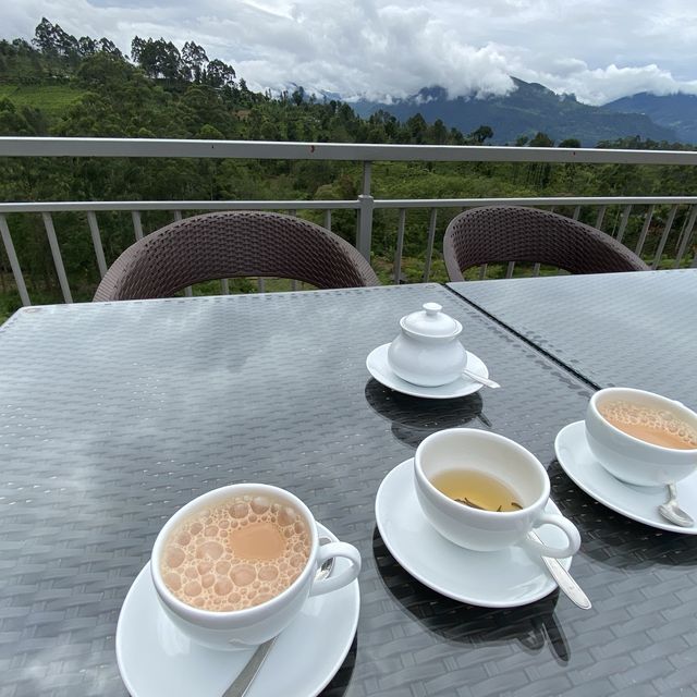 ヌワラエリア、DAMRO tea centre