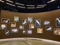科學館古生物恐龍展