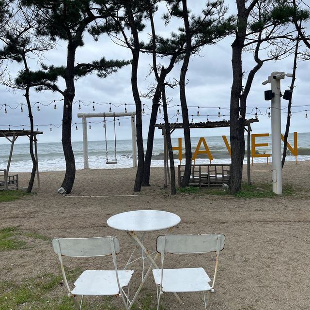 바다 바로앞 코카콜라 트럭이 있는 멋진 오션뷰 카페