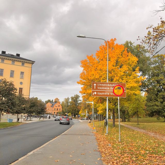スウェーデンの第四の都市ウプサラを街ブラ