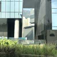 Rooftop Garden at Airside