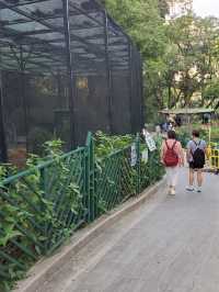 Zoological and Botanical Gardens 🌻✨