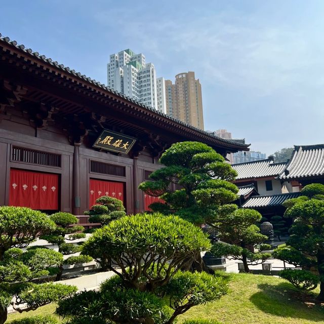 身臨其境的禪意寧靜 🏞️🧘‍♀️ 南蓮園池