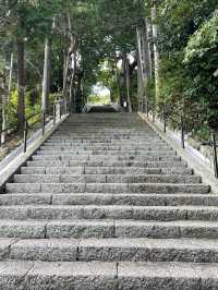 【静岡県/伊豆山神社】温泉地のパワースポット