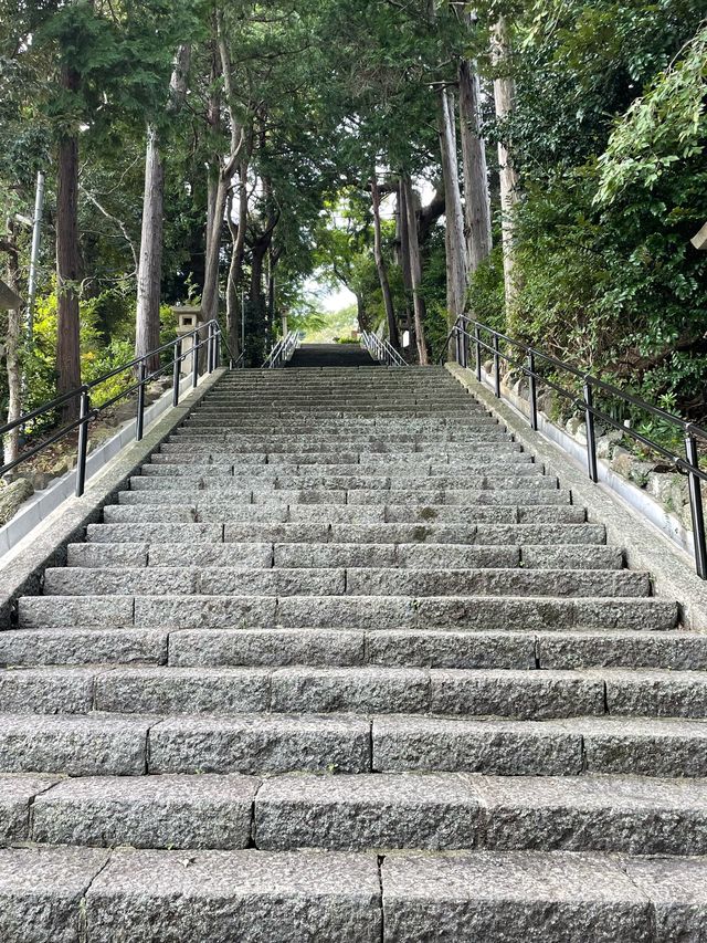 【静岡県/伊豆山神社】温泉地のパワースポット