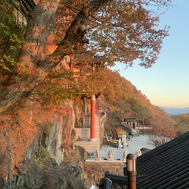 바위 위 작은 사찰에서 단풍구경, 구례 사성암🍁