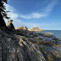 Sasagawa Nagare coastline In Autumn 🍂 