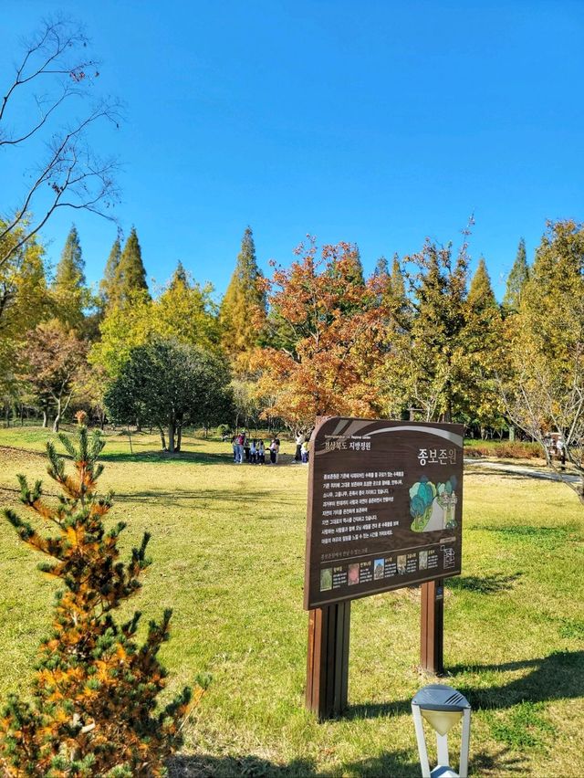 변함없이 아름다운 경주의 가을🍁🍂