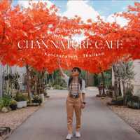 CHAN nature cafe' คาเฟ่ที่ถูกโอบล้อมไปด้วยแคตตัส