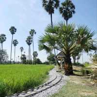 ปลายนา ใกล้กรุง 