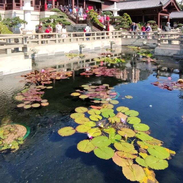 園林之中~山水相依~水隨山轉~南蓮園池