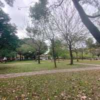 市區裡也有一片寧靜-民生社區公園