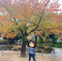 名古屋城市中綠洲 下園公園