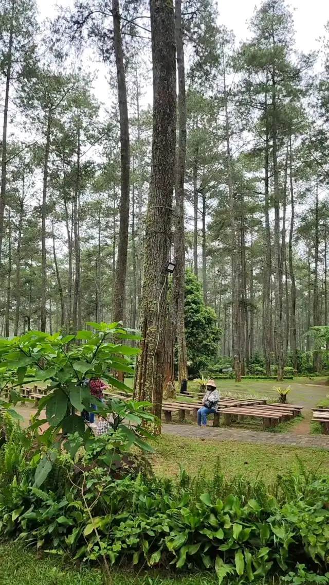 orchid forest bandung