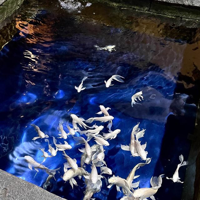 테마가 다양한 코엑스 아쿠아리움🐠🫧