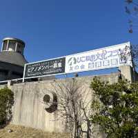 彥根市區和彥根本町趴趴走