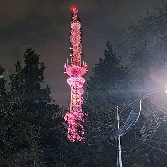 인천 벚꽃명소 수봉공원으로 가자