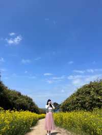 유채꽃이 만개한 수성당에서 힐링 가득 하루 보내기🌼