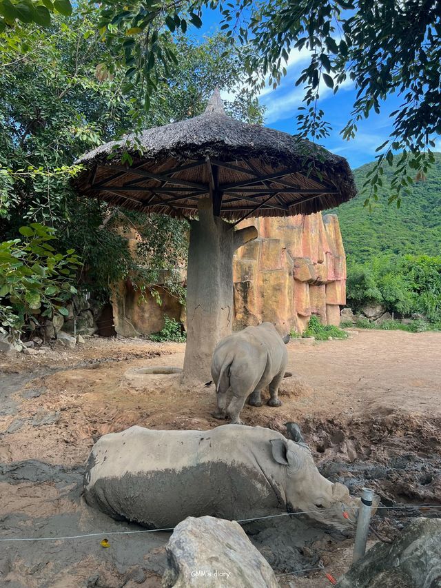 เที่ยวสวนสัตว์ VinWonders Zoo ที่ญาจาง 🐅🦓