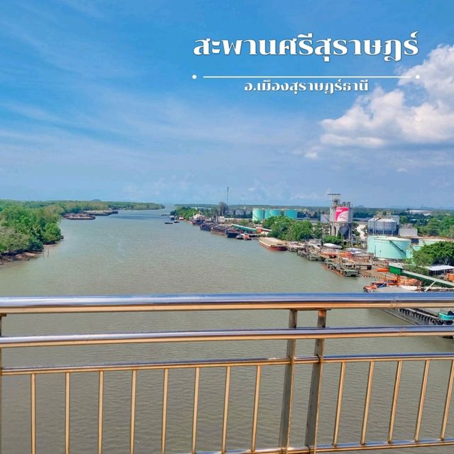รวมจุดเช็คอิน สุราษฎร์ธานี 🐚🌳 
