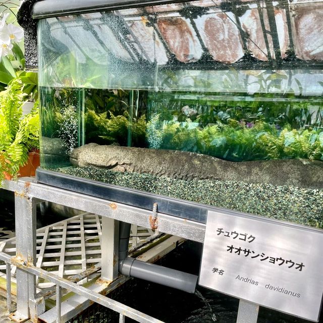 熱川バナナワニ園の動物たち