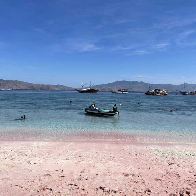 Pink Beach Komodo