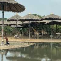 泰國曼谷野生動物園