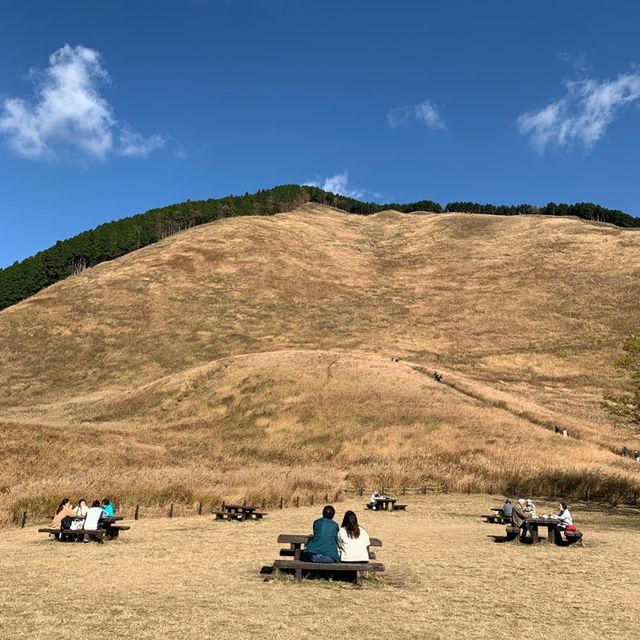 曽爾高原