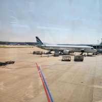 【搭乗記】AIRBUSANで韓国旅行✈️