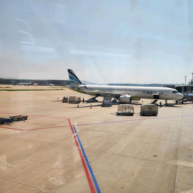 【搭乗記】AIRBUSANで韓国旅行✈️