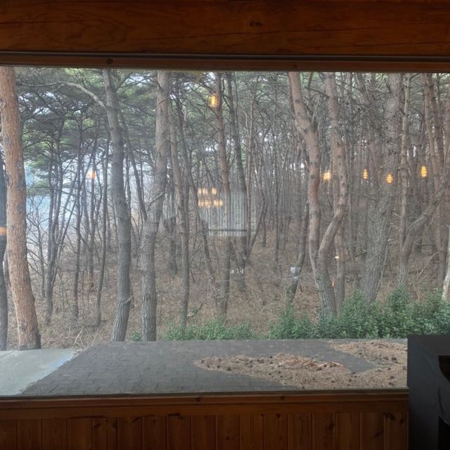 대천해수욕장의 감성카페는, 애즈유라이크