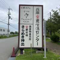 神戸西区！楽農「ファイブカントリーカフェ」兵庫県の野菜、果物にこだわるレストラン