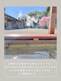 【静岡】わんこと行ける温泉公園♨️